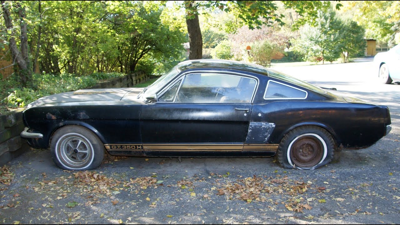 The "Barn Find" 1966 Shelby GT350H Mustang sitting for decades - The Auto Archaeologist - YouTube