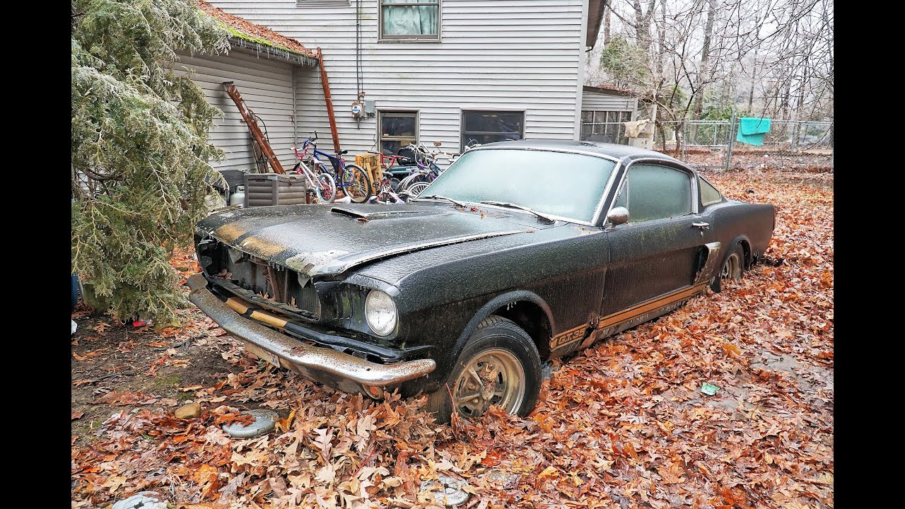 Recovered: 1966 Shelby Mustang GT350H sunk in Ohio backyard 40 years - YouTube