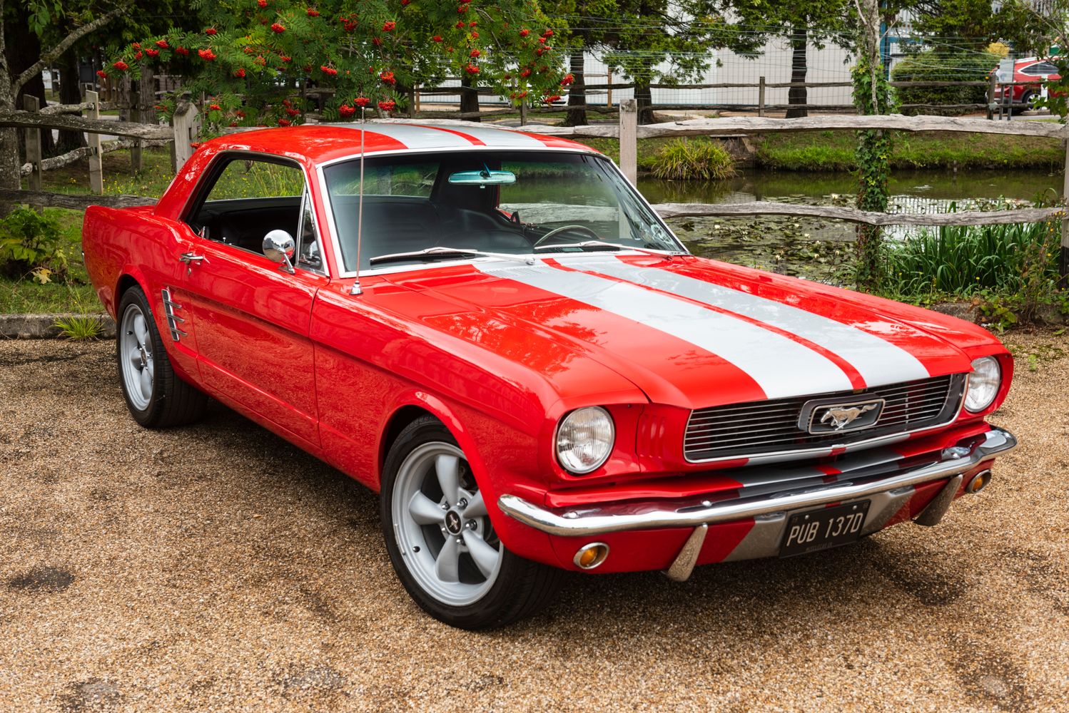 1966 Mustang