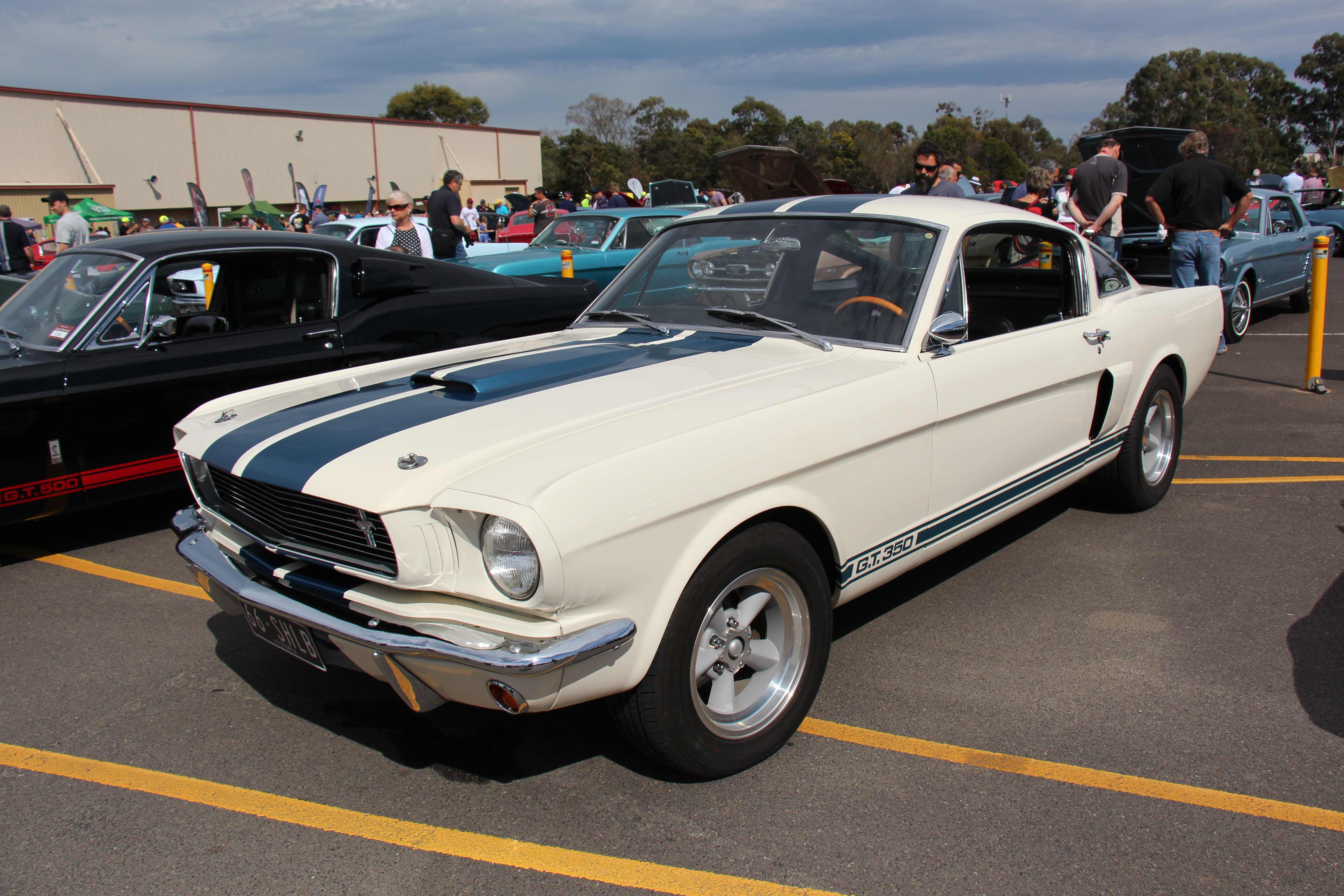 Fichier:1966 Shelby Mustang GT350 Fastback (14959769894).jpg — Wikipédia
