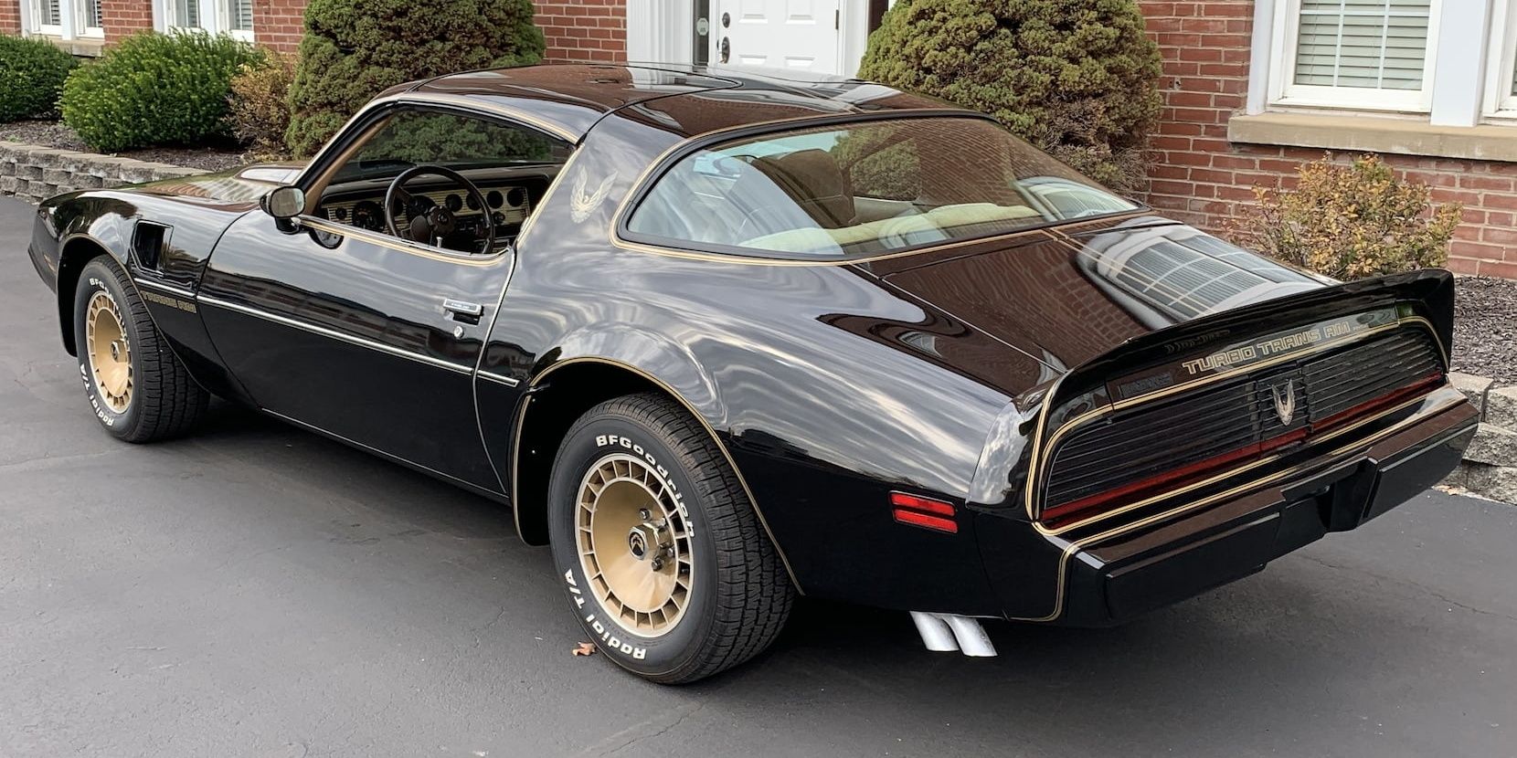 1981 Pontiac Trans Am Turbo SE Cropped