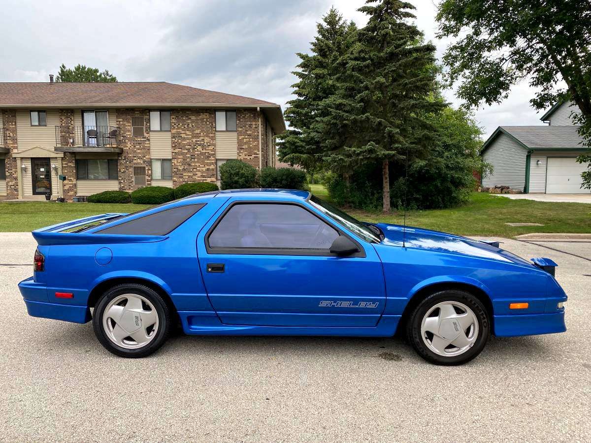 blue daytona shelby