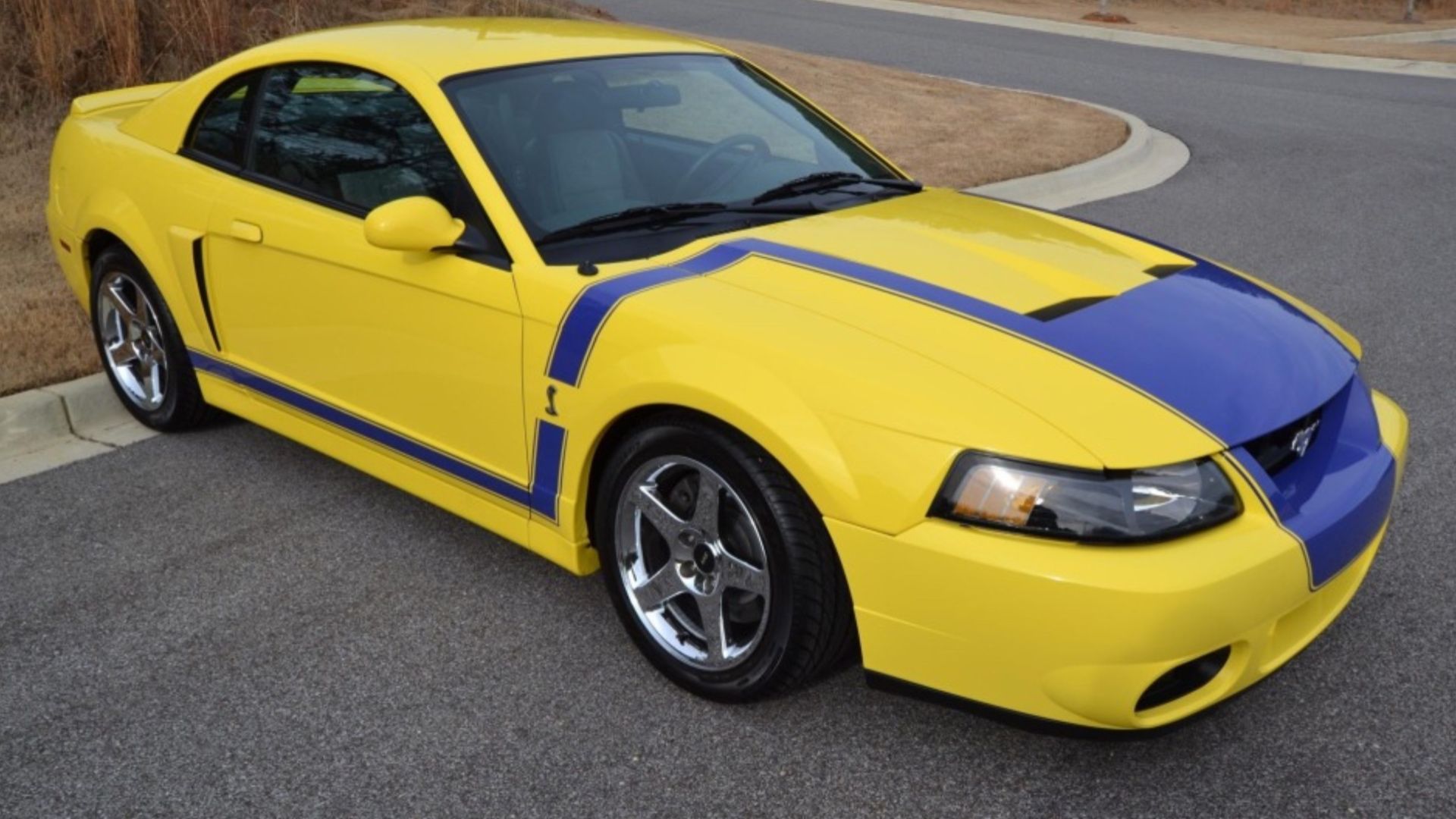 Yellow SVT Cobra