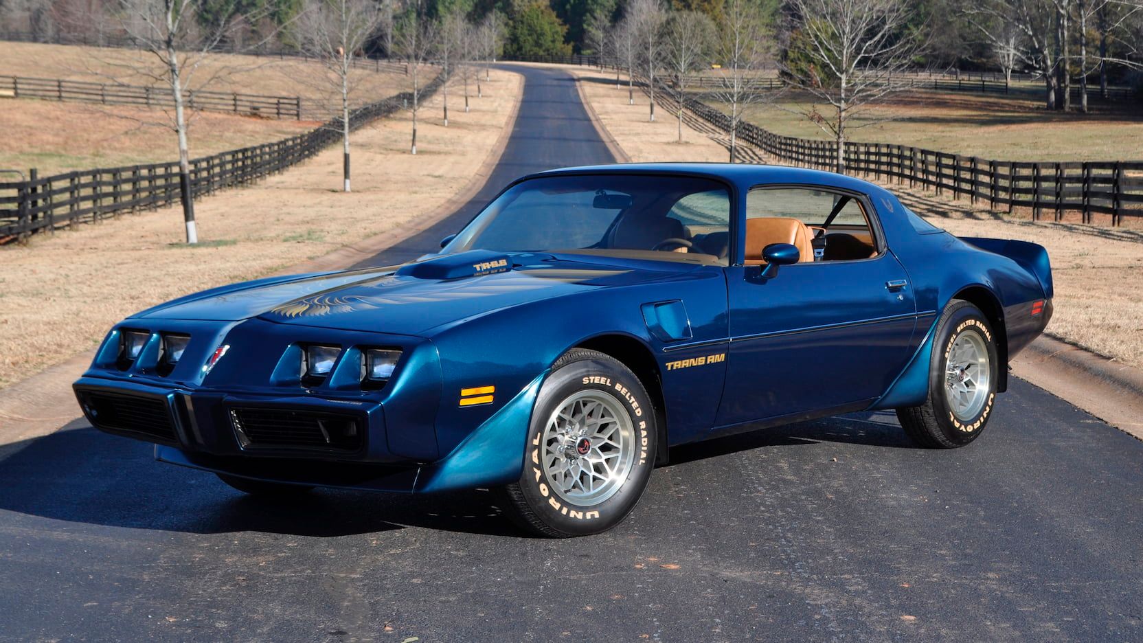 1979 Pontiac Firdbird Trans Am