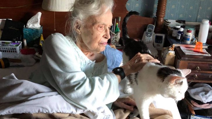 Senior Shelter Cat And A 101-Year-Old Woman Discover Happiness In Each Other