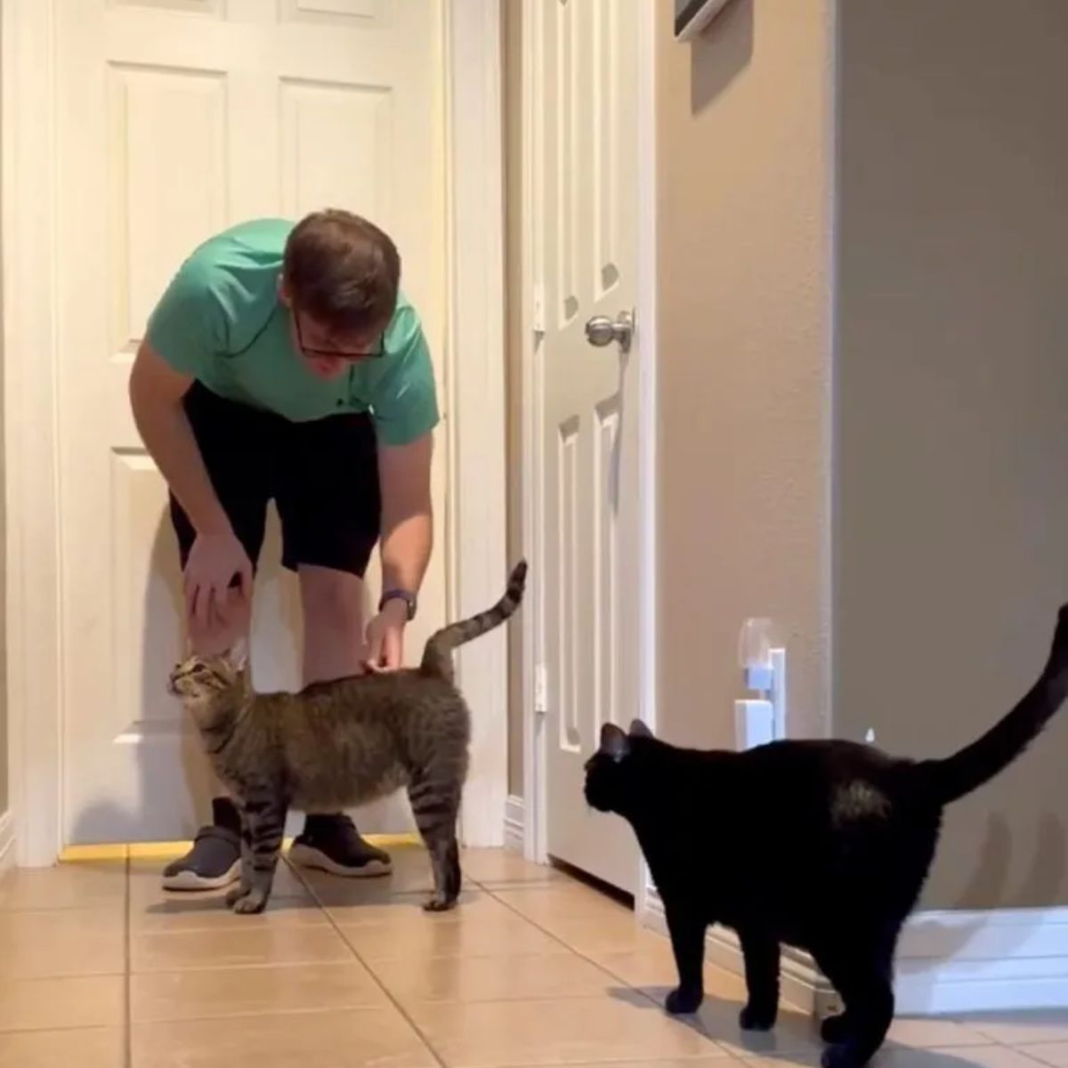 man petting a cat