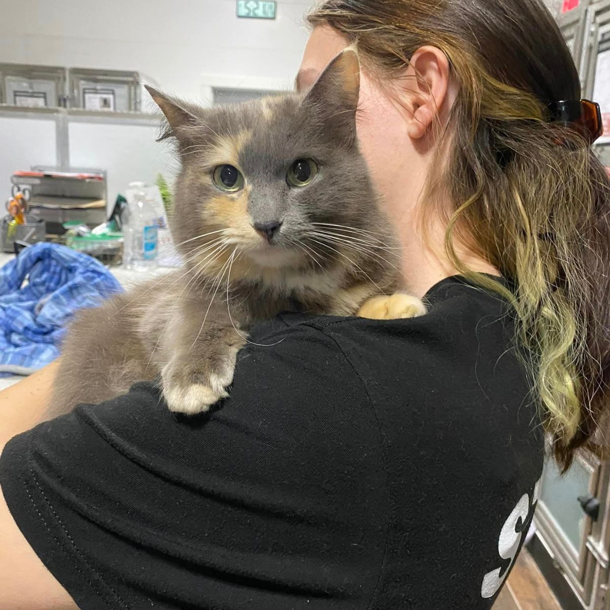 young woman holding a cat