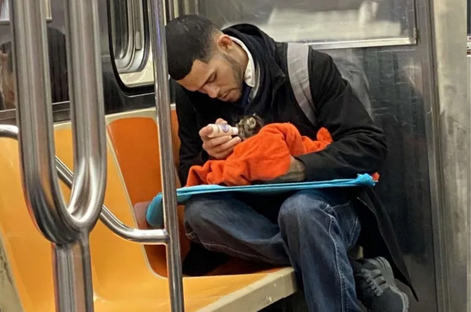 man feeding the kitten