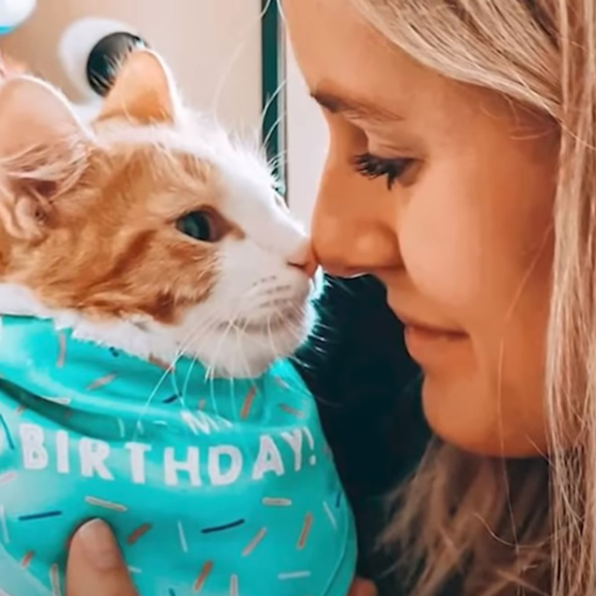 close-up photo of woman and a cat