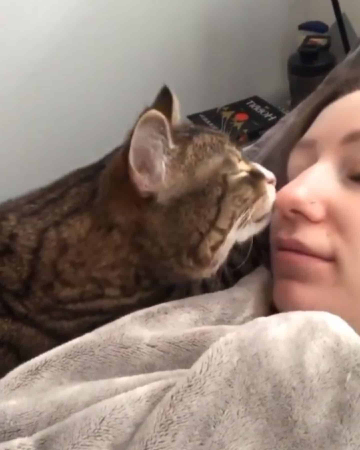 cat cuddling with owner