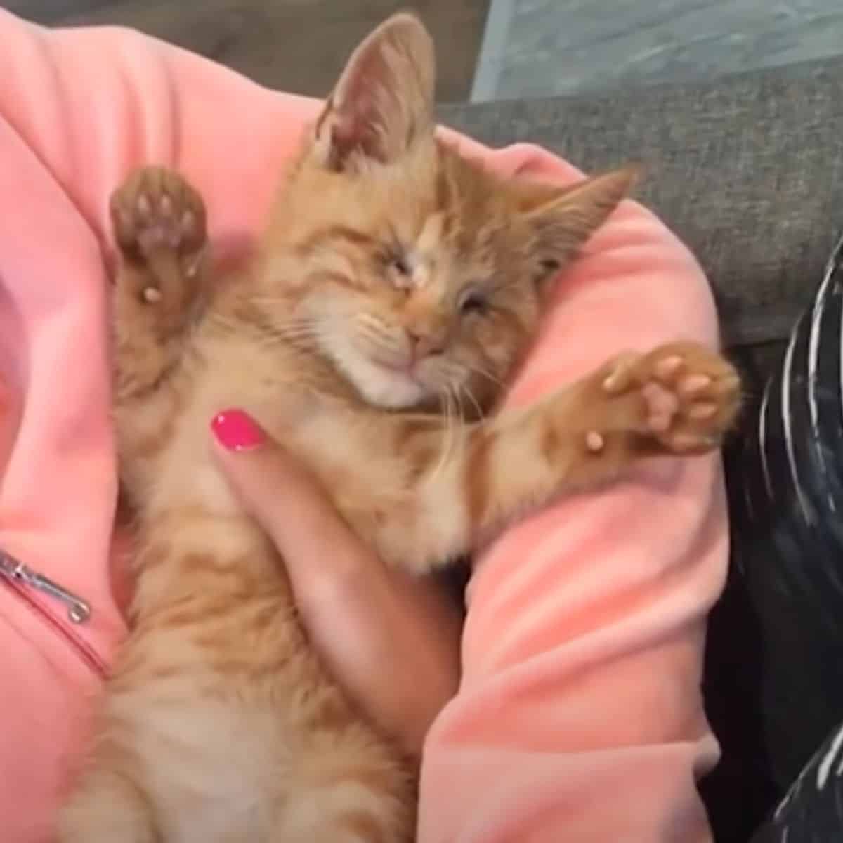 woman holding blind cat