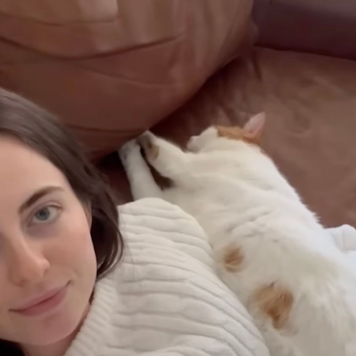 cat lying next to a woman