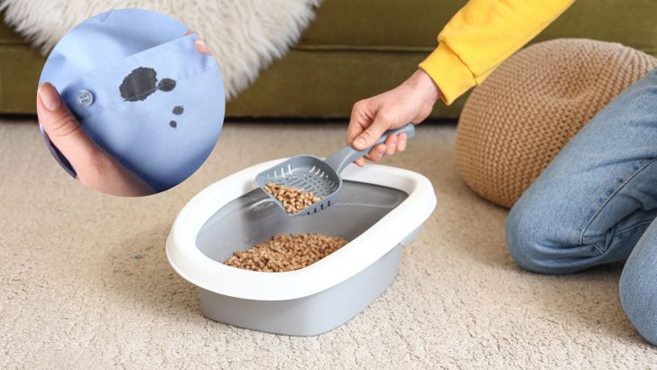 6 Alternative Uses For Cat Litter In Your Household