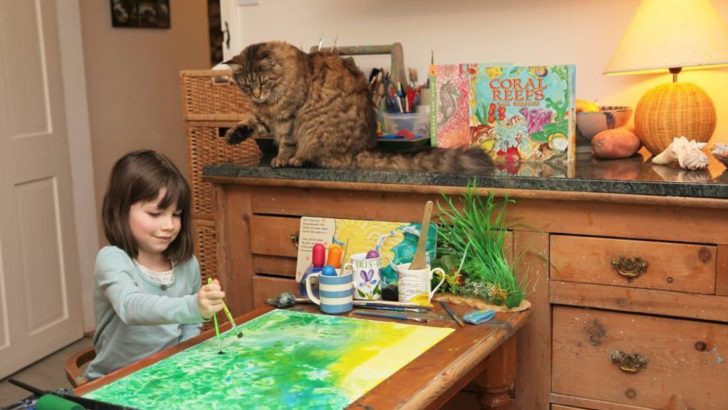 Maine Coon Cat Proved To Be The Best Companion For Her 6-Year-Old Human Sister With Autism