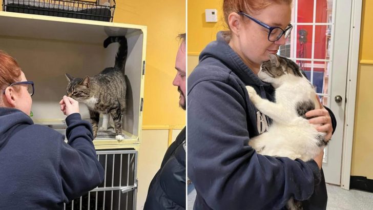 A Couple Comes To The Shelter To Adopt A Cat But What Happens Next Will Surprise You