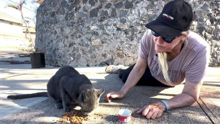 This Woman Loses Everything To The Fire But Still Travels Back Home Each Day To Feed Her Cats