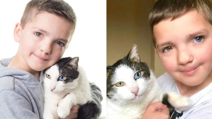 Bullied Boy From Oklahoma Befriends A Cat Bearing The Same Rare Facial Features As He Does