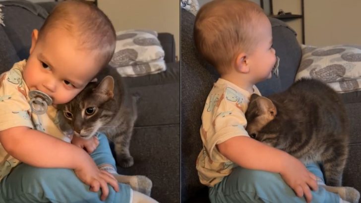 Witness A Heartwarming Moment Between A Baby And His Feline Friend Enjoying Each Other’s Company