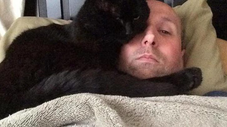 Stray Black Cat’s Fortune Turns Around After Befriending A Kind Man