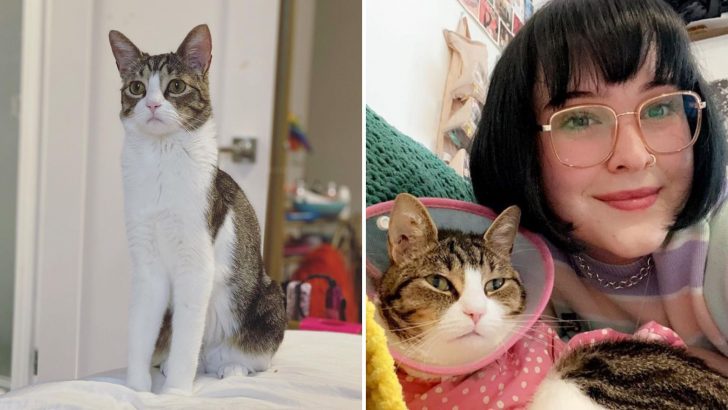 This Cat Has The Same Unusual Condition As Her Owner And It’s Like A Destiny Brought Them Together