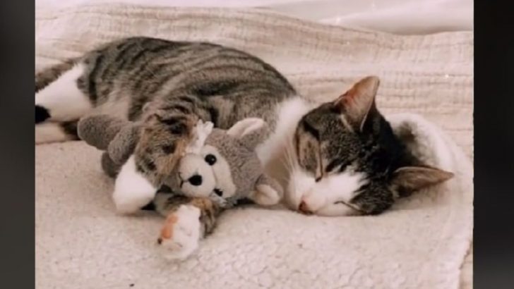 Cute Winnie And Her Stuffed Toy, A Love Story Rarely Seen!