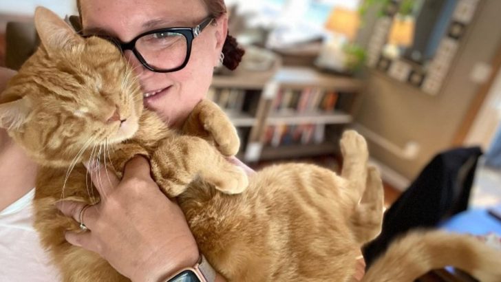 Blind Ginger Cat Left Behind By His Mama Has Some Super Sweet Surprises For His New Family