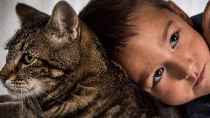 Family’s Pet Cat, Tara, Saves Their Baby Boy From A Dog Attack