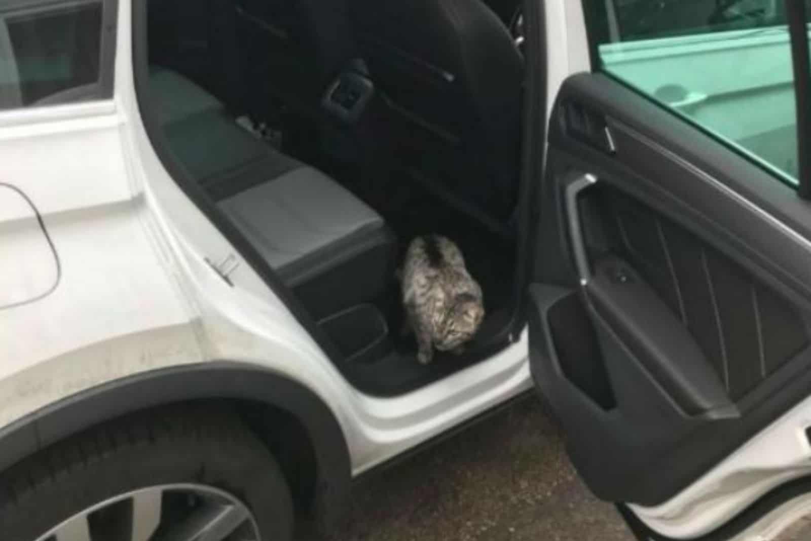 Louis inside a white car