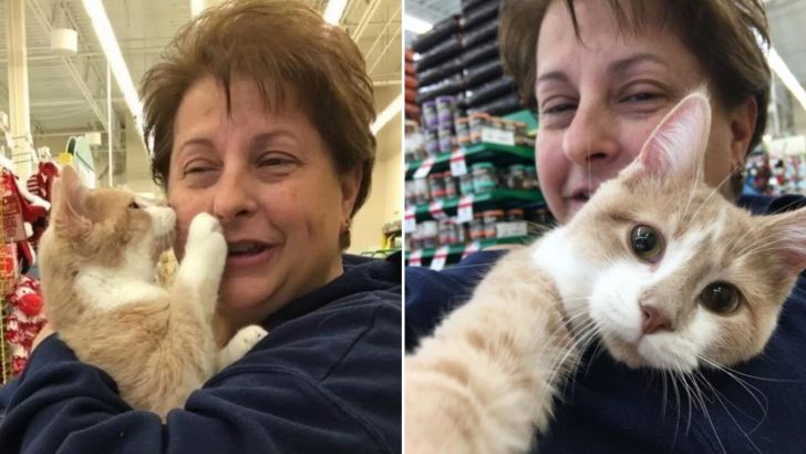 Sweet Cat Showers His New Mom With Kisses After She Gave Him A Fur-Ever Home