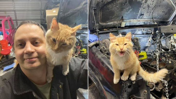 Man Goes To The Garage To Fix His Jeep And Makes A Shocking Discovery