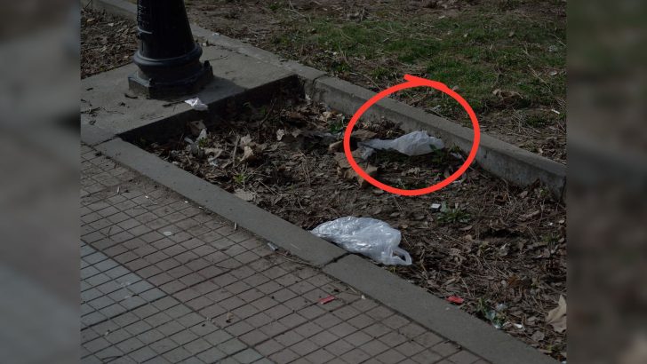 Man Spots A Mysterious Moving Bag By The Roadside And Makes A Shocking Discovery