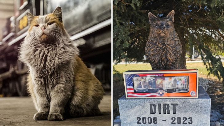 Nevada Northern Railway’s Heartfelt Tribute to Their Furry Mascot