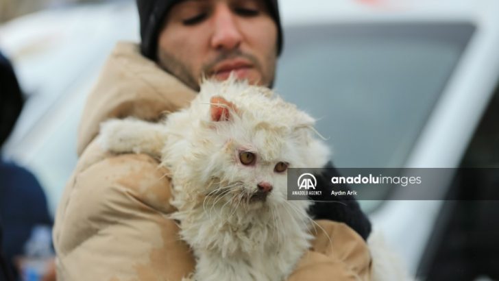 Officer Saves A Cat After Dangerous Earthquake