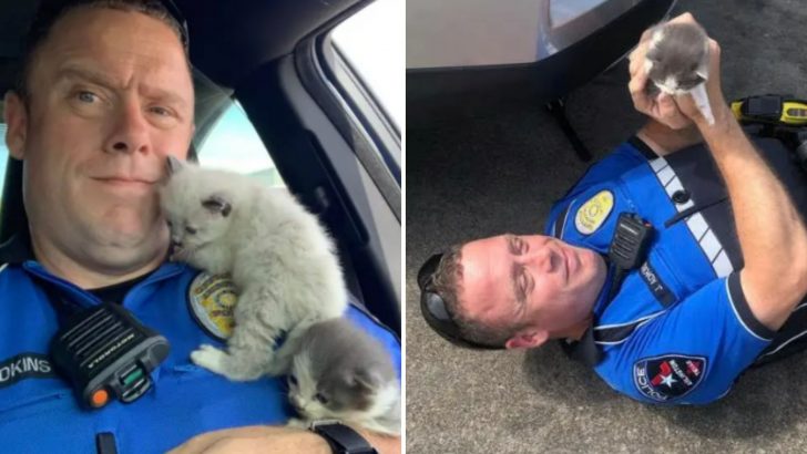Texas Police Officer Rescues Two Kittens From A Car Bumper Leading To A Heartwarming Surprise
