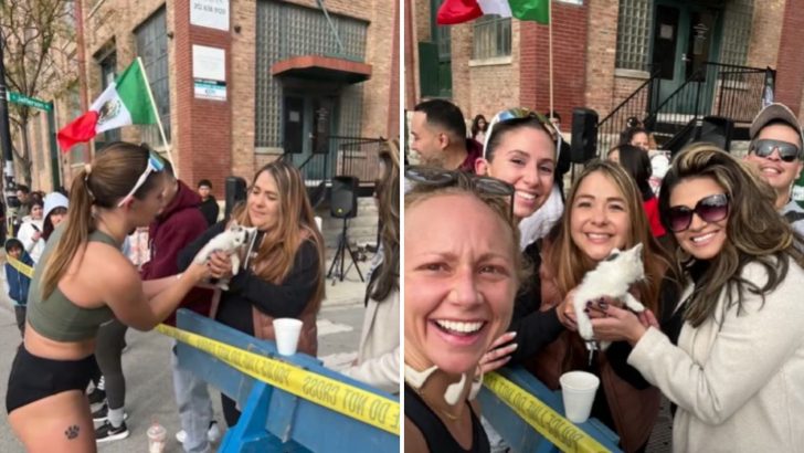 Chicago Marathon Takes An Unexpected Turn When A Runner Spots A Tiny Kitten In Need