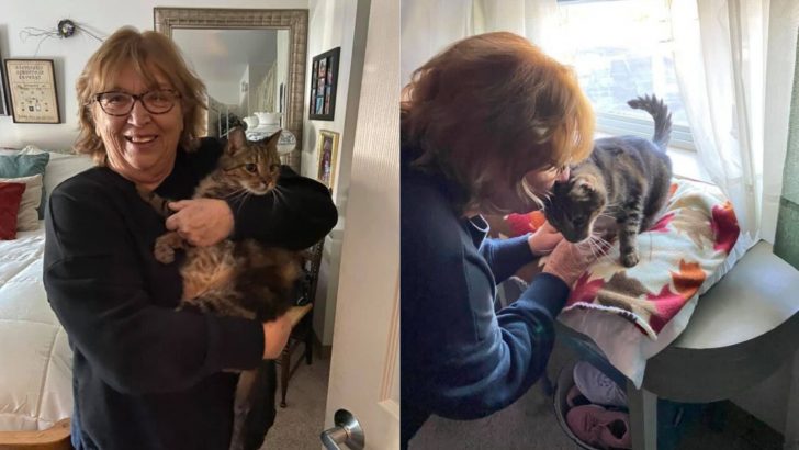 Senior Cats And Elderly Find Companionship Through PA Rescue