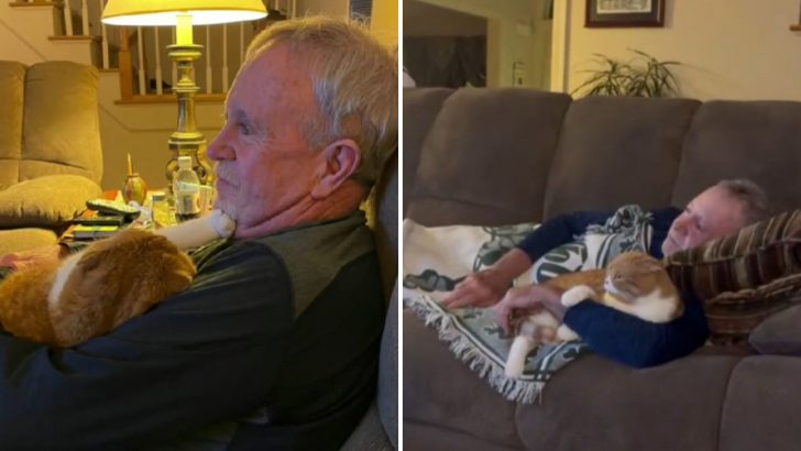 The Reason Why This Cat Refuses To Leave His Owner’s Side Will Break Your Heart