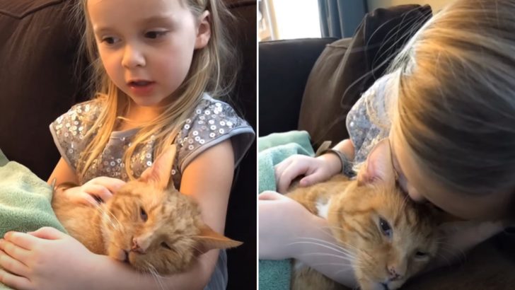 The Video Of A Little Girl Singing To Her Beloved Cat One Last Time Is Bound To Break Your Heart