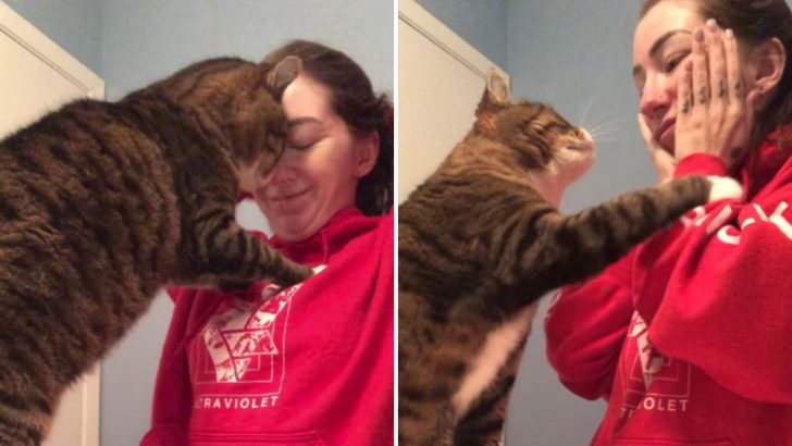 This Cat Is Super Involved In His Owner’s Daily Routine!