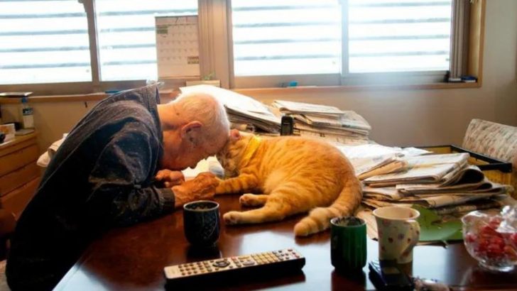 Woman Delights Her Sick Grandpa With A Furry Surprise That Transforms His Life