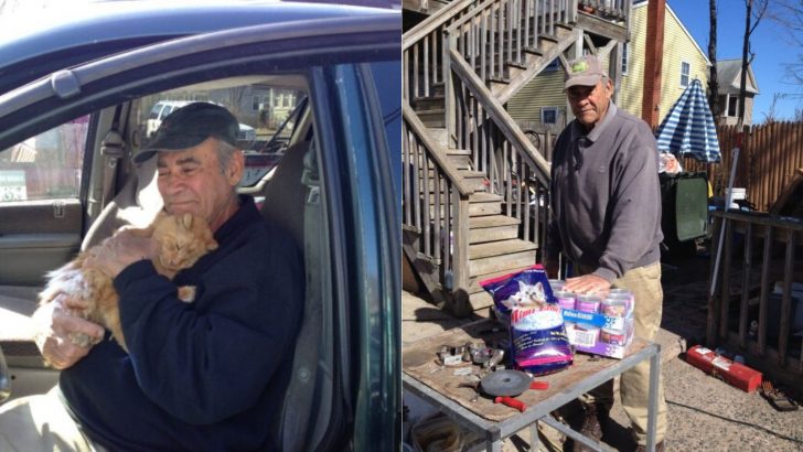 Retired Veteran Sells Scrap Metal To Save Lives Of Many Cats He Cares For