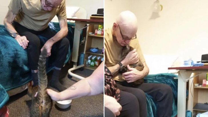 Woman Secretly Brings A Cat Into A Nursing Home To Reconnect With Her Previous Human Dad