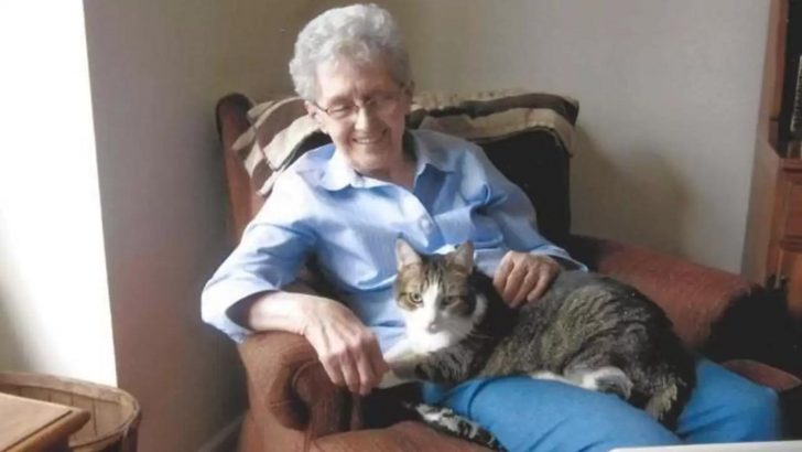 You Won’t Believe What Happened To This Elderly Lady And Her Beloved Pet Cat