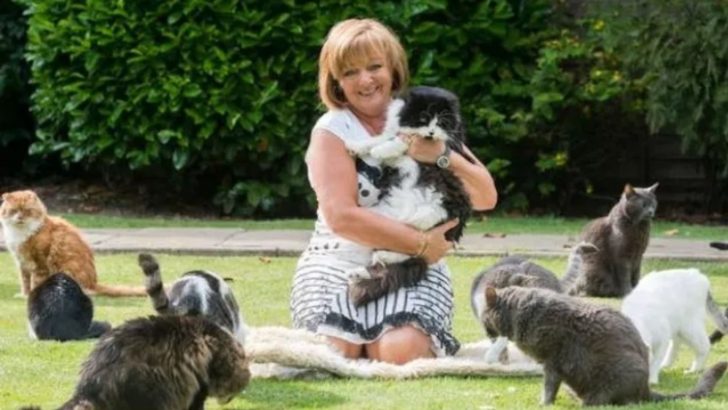 Woman Dedicates $142,000 Annually To Transform Lives Of Rescue Cats