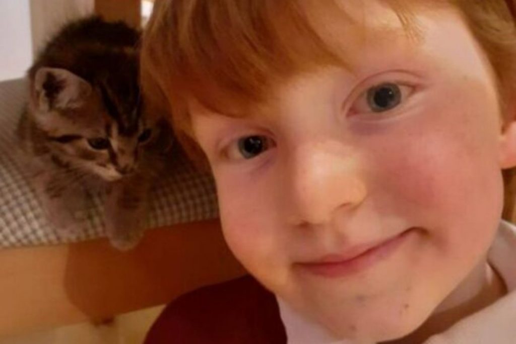 a boy takes a picture with a kitten