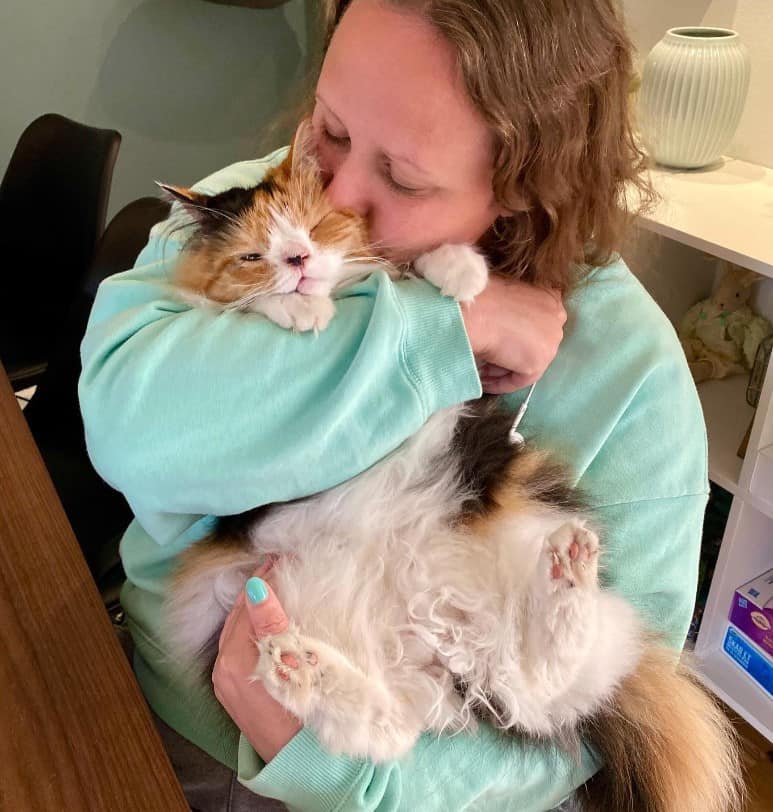 a cat with special needs enjoys being petted