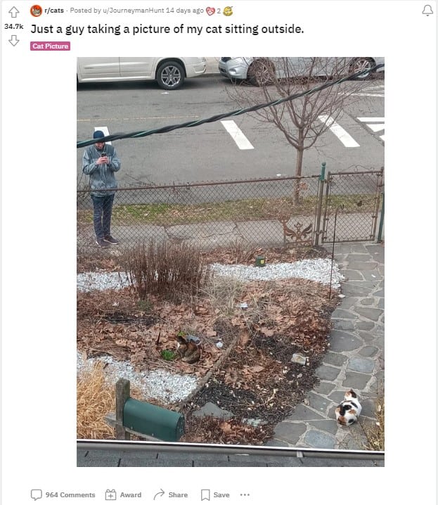 a man paints a cat sitting on the pavement