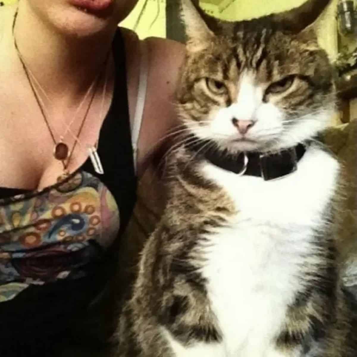 a scowling cat sits next to a woman