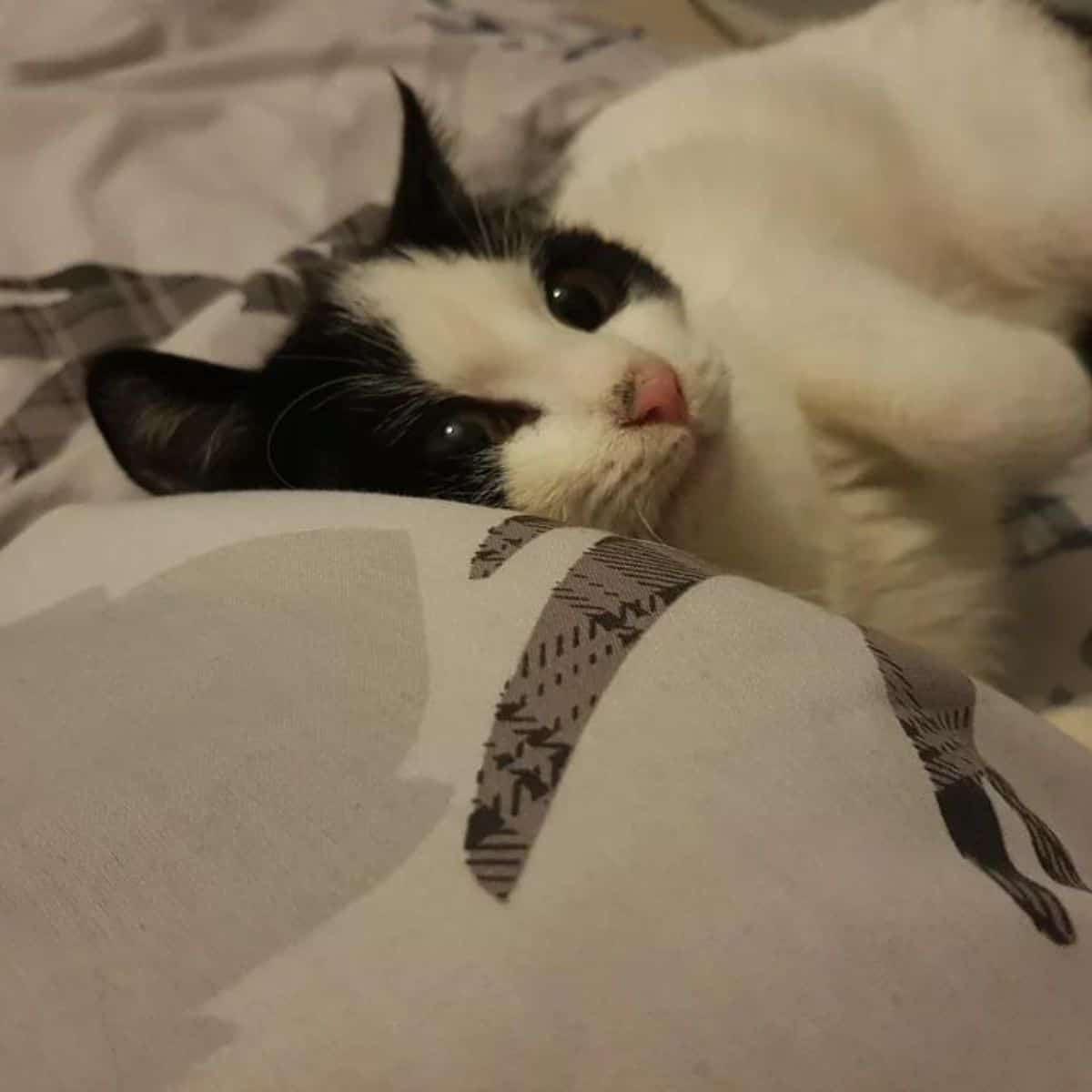 black and white portrait of a girl on a bed