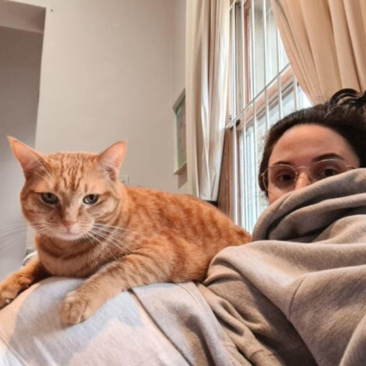 cat lying on woman